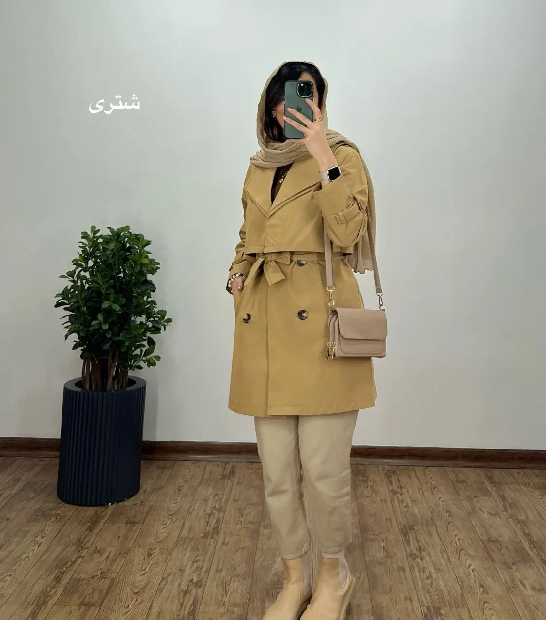 بارونی آرام 2